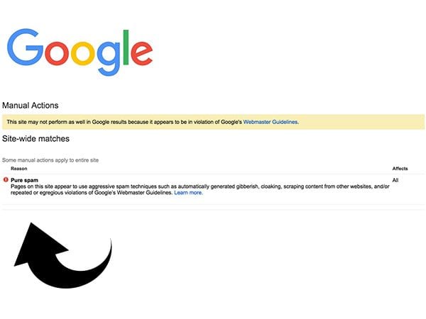 Avoiding Website Penalty for Pure Spam