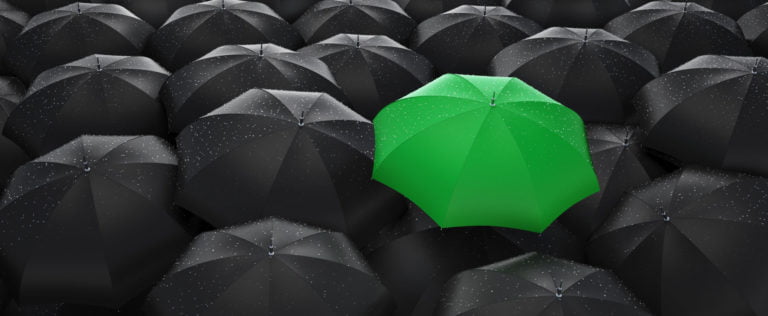 One green umbrella among black umbrellas